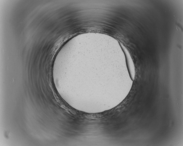 X0000102220241200808221252