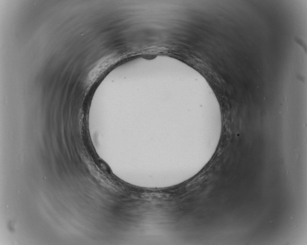 X0000102220242200808221252