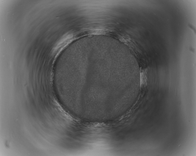 X0000102220243200808221252