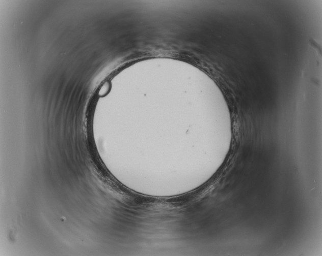 X0000102220246200808221252