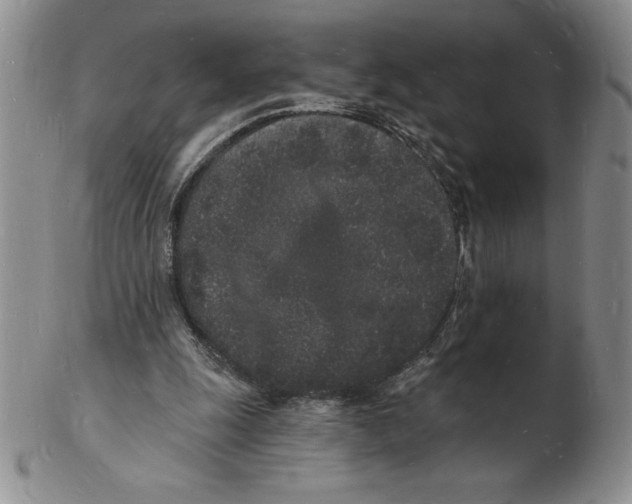 X0000102220247200808221252