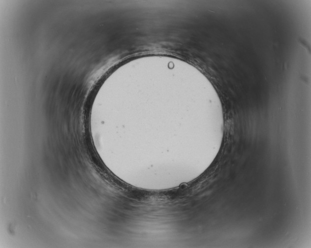 X0000102220248200808221252