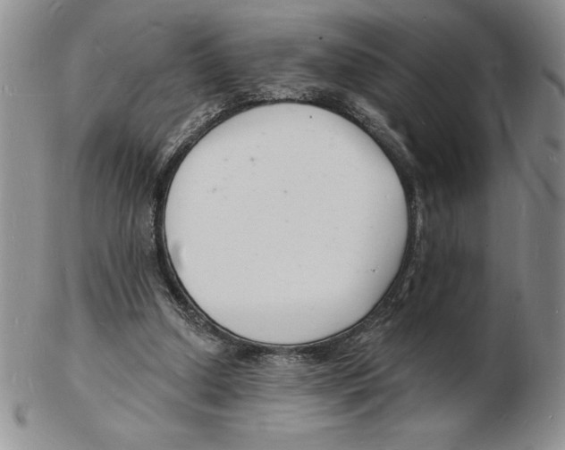 X0000102220250200808221252