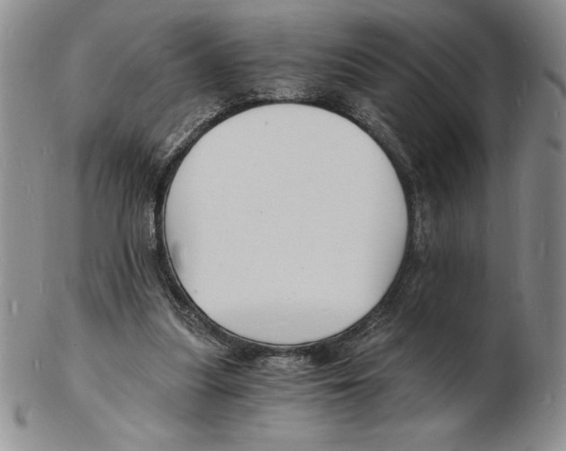 X0000102220251200808221252