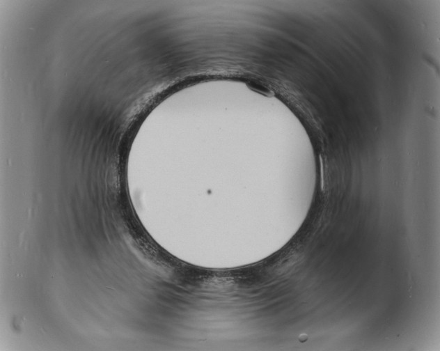 X0000102220252200808221252