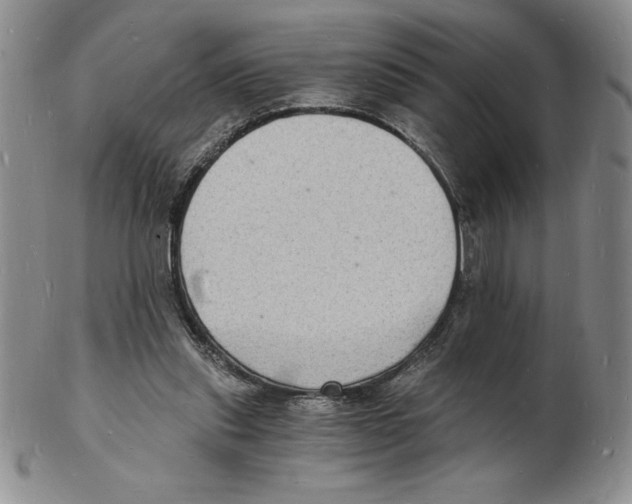 X0000102220253200808221252