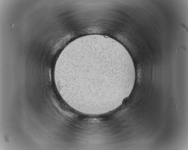 X0000102220254200808221252