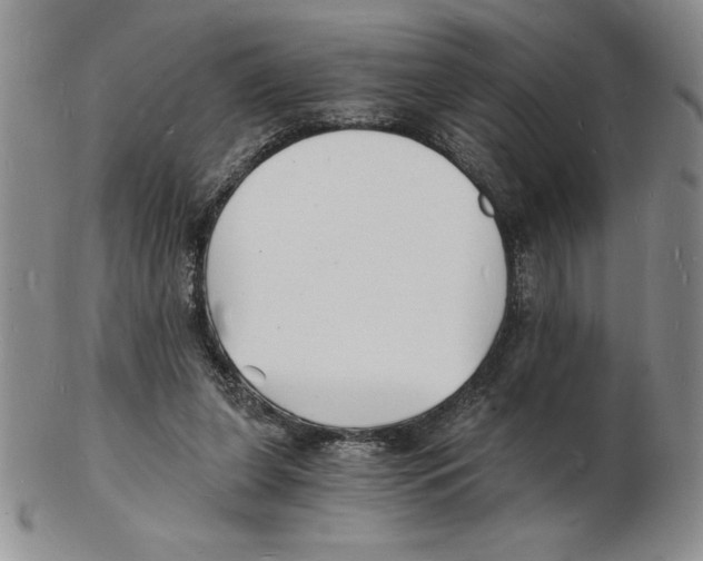 X0000102220255200808221252