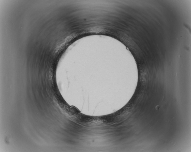 X0000102220256200808221252