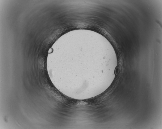 X0000102220257200808221252