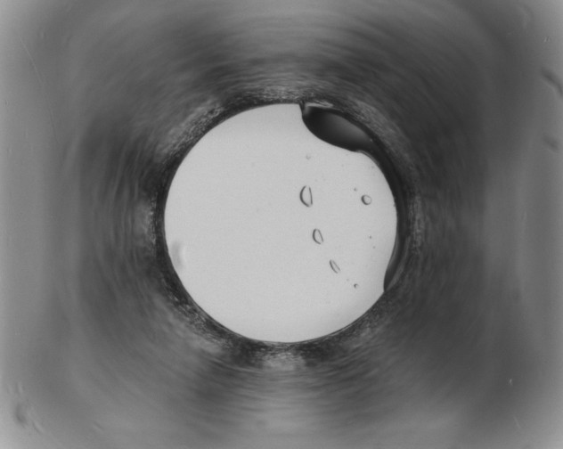 X0000102220258200808221252