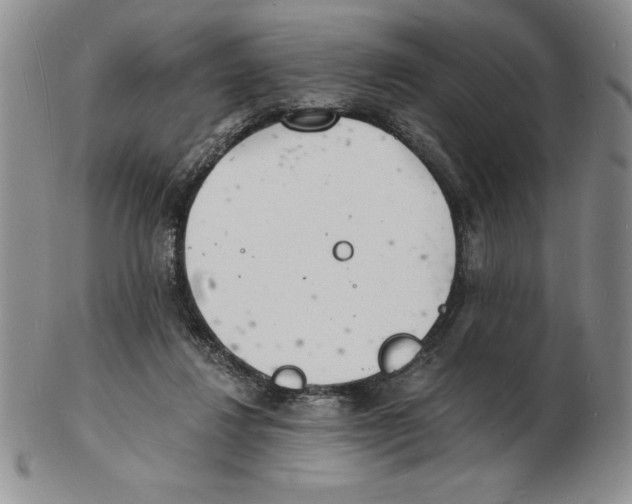 X0000102220260200808221252