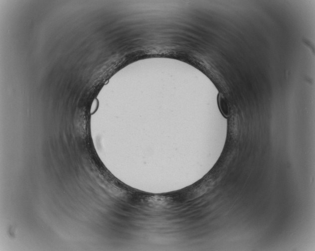 X0000102220261200808221252