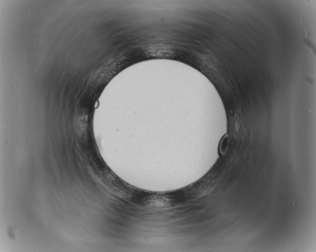 X0000102220263200808221252