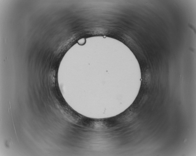 X0000102220264200808221252