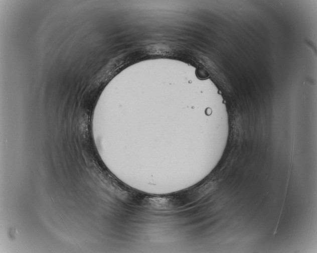 X0000102220265200808221252