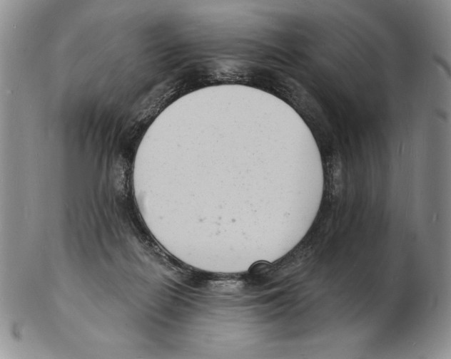 X0000102220266200808221252