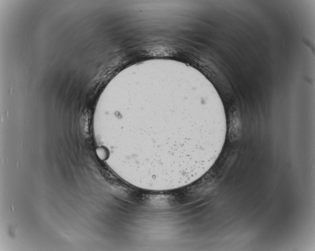 X0000102220268200808221252