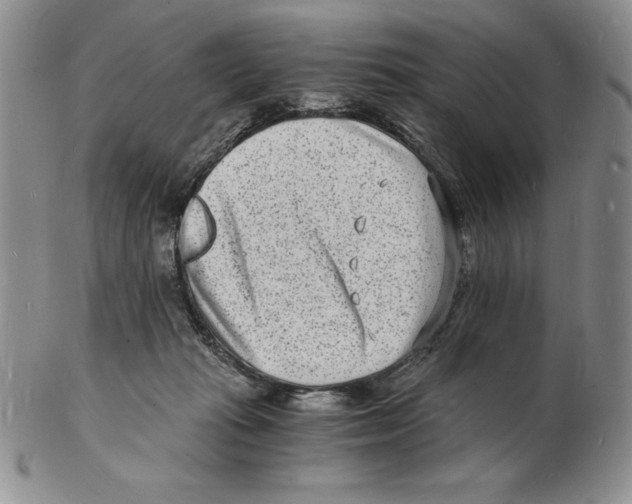 X0000102220269200808221252