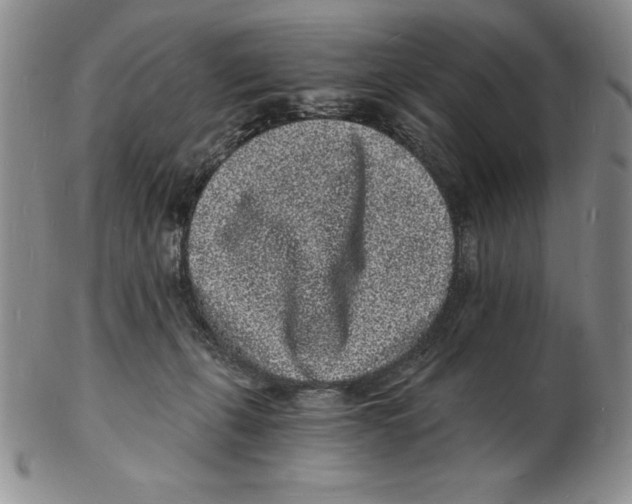 X0000102220271200808221252