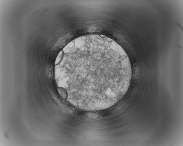 X0000102220272200808221252