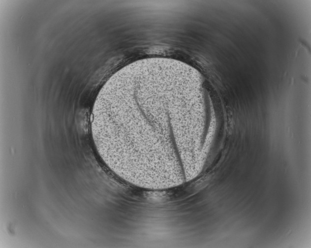 X0000102220273200808221252