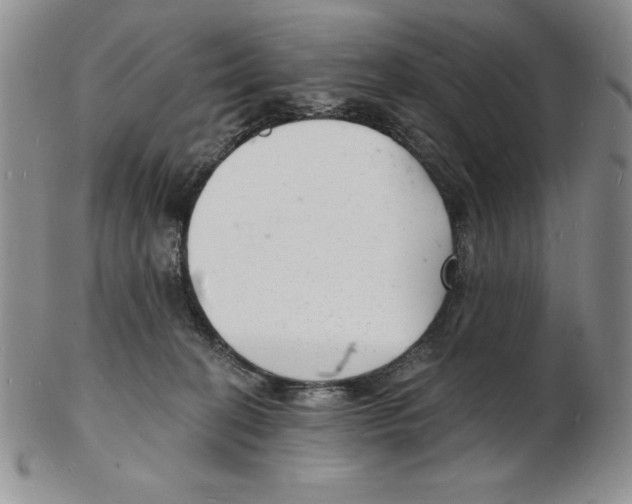 X0000102220274200808221252