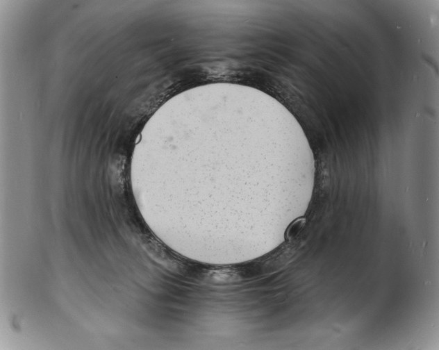 X0000102220275200808221252