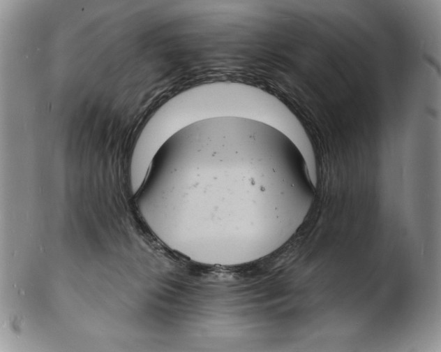 X0000102220276200808221252