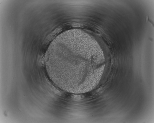 X0000102220277200808221252