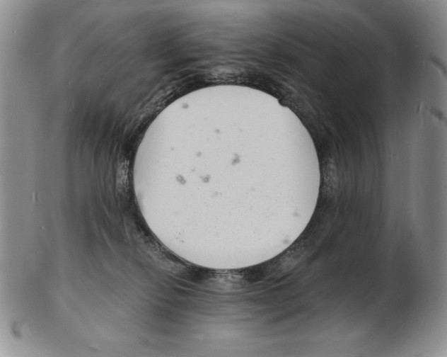 X0000102220278200808221252