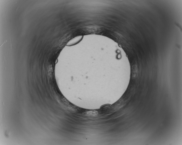 X0000102220279200808221252