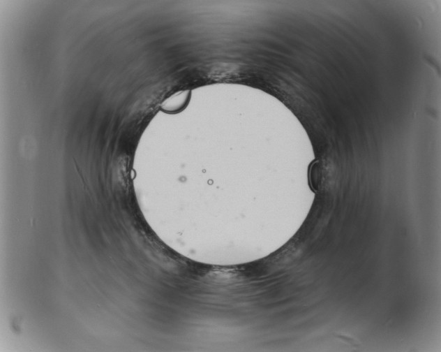 X0000102220280200808221252