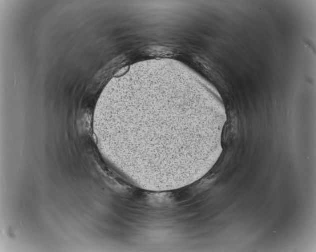 X0000102220281200808221252