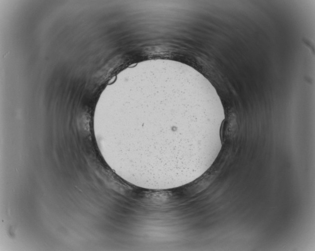 X0000102220282200808221252