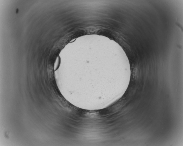 X0000102220283200808221252