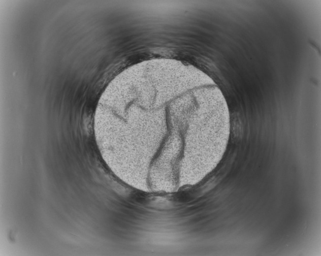 X0000102220285200808221252