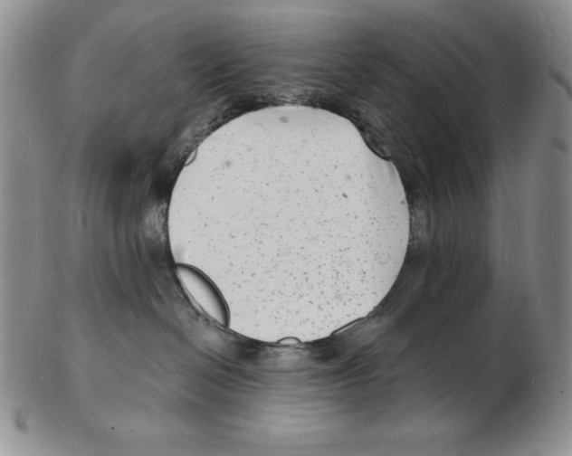 X0000102220286200808221252