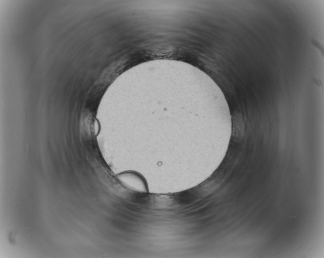 X0000102220287200808221252