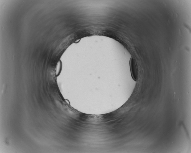 X0000102220288200808221252