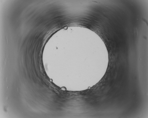 X0000102220289200808221252