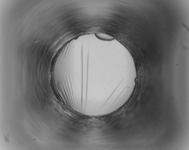 X0000102220290200808221252