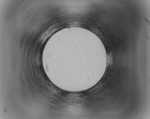 X0000102220291200808221252