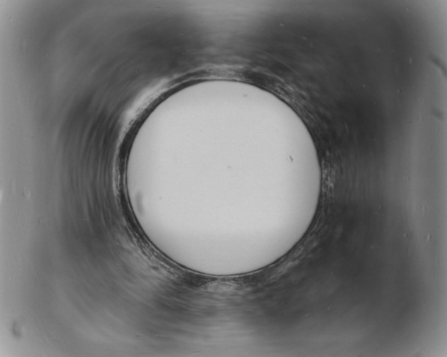 X0000102220294200808221252