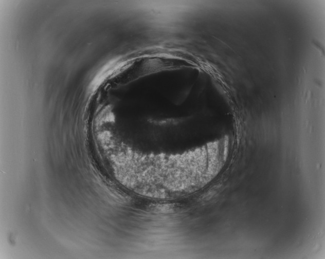 X0000102220295200808221252