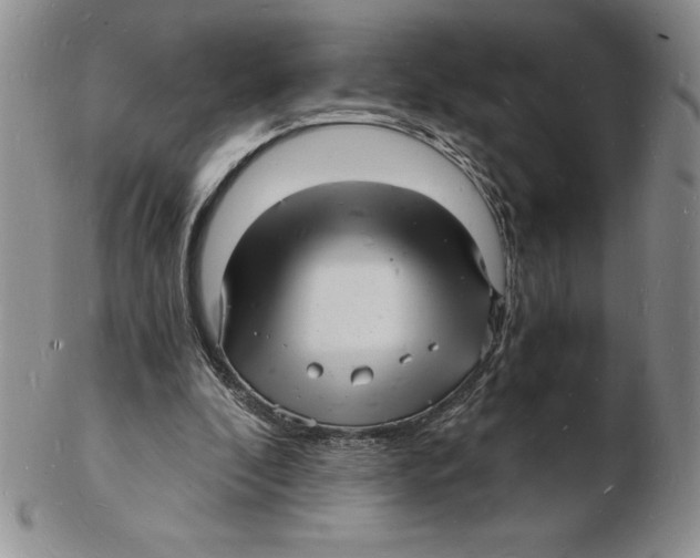 X0000102220296200808221252