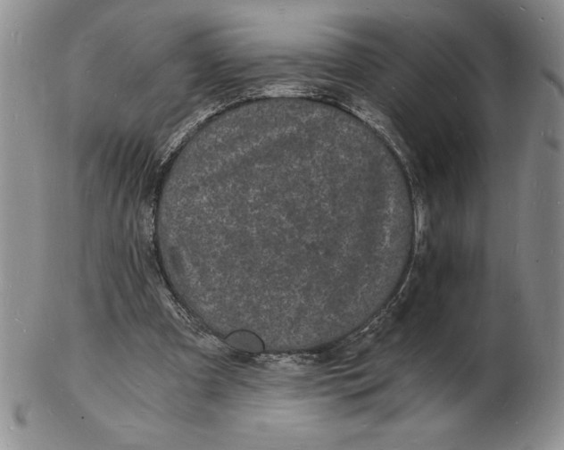 X0000102220297200808221252