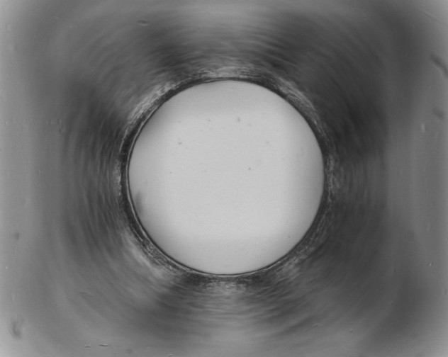 X0000102220298200808221252