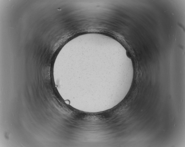 X0000102220299200808221252