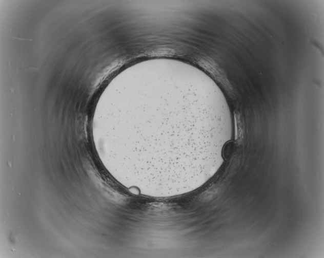 X0000102220300200808221252